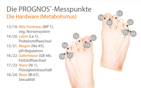 Die PROGNOS® Messpunkte - Die Hardware Die PROGNOS® Messpunkte - Die Hardware
