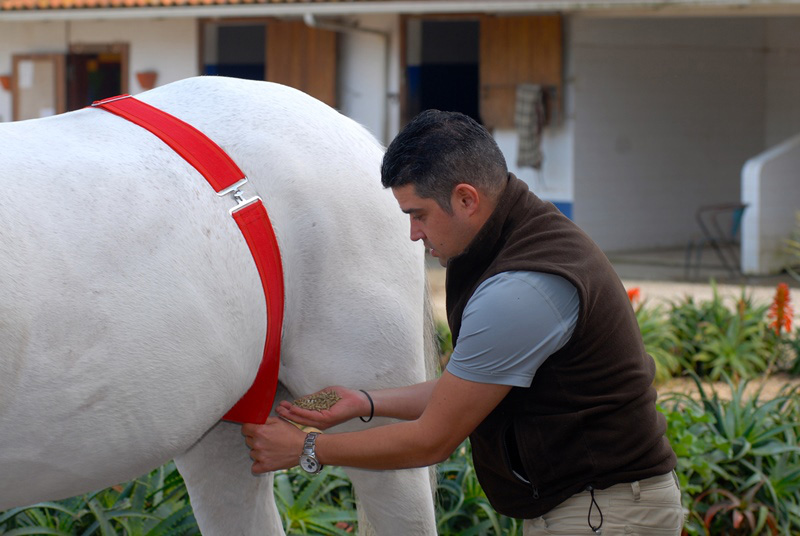 Futtermitteltest Futtermitteltest