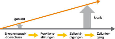 Grafik Energetische Grundversorgung Grafik Energetische Grundversorgung