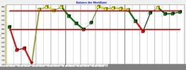 Balance der Meridiane
