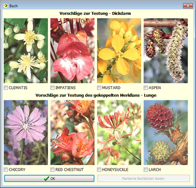 Bachblüten Auswahl