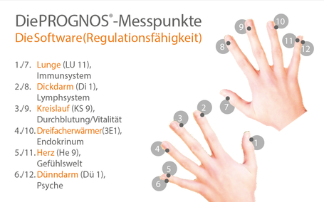 Die PROGNOS® Messpunkte - Die Software Die PROGNOS® Messpunkte - Die Software